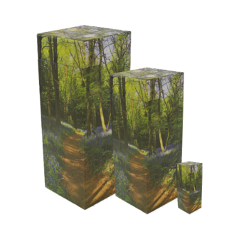 asverstrooiing-eco-urn-strooibuis-as-verstrooien-uitstrooien-bospad-bluebell-woodland