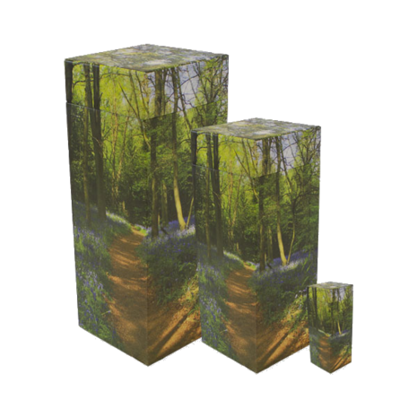 asverstrooiing-eco-urn-strooibuis-as-verstrooien-uitstrooien-bospad-bluebell-woodland